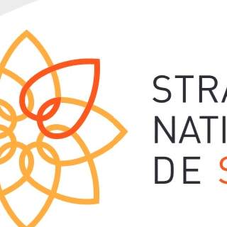 Stratégie nationale de santé logo